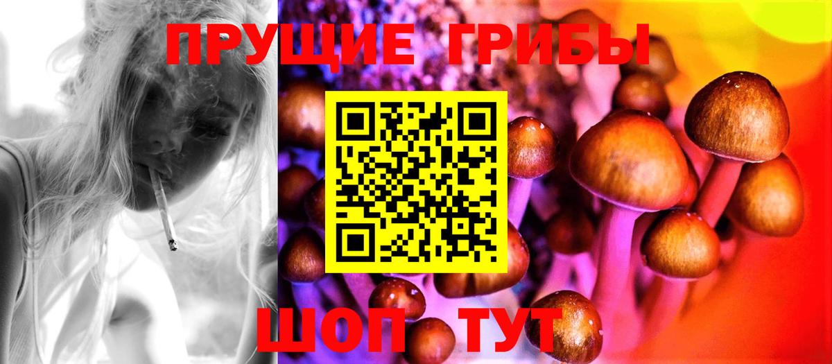 Ачинск  Галлюциногенные грибы Psilocybine cubensis  купить  цена  Вход с VPN 